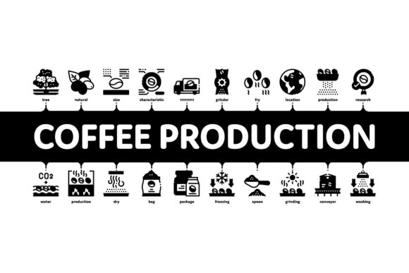 Coffee Production Minimal Infographic Design Guide