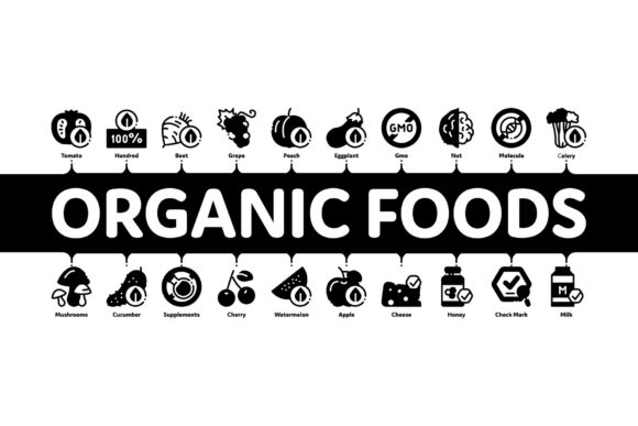 Organic Eco Foods Minimal Infographic Assets
