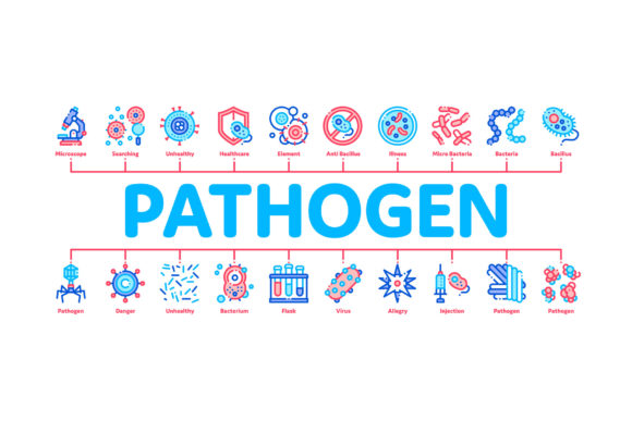 Pathogen Elements Minimal Infographic Design Guide